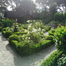 English garden