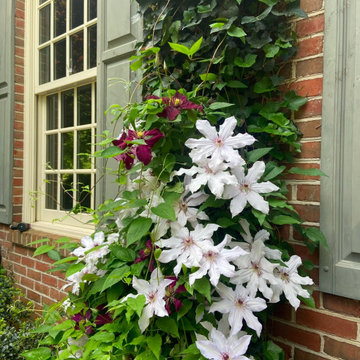 Landscaping Highlights