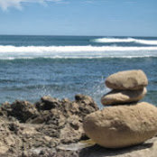 Marni Garbellini's photo