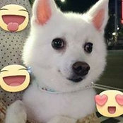 Foto von Ken Hsu