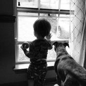 Sylvia Hammock's photo