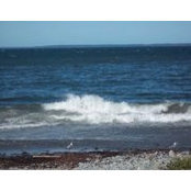 Louise Doucet's photo