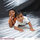 abhilash_oommen