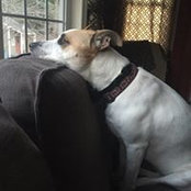 Regina Rivera's photo
