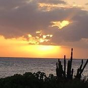 Cindy Bitney's photo