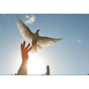 Gehane Abou Hussein's photo