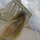 nicole_behnke60
