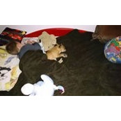 Alastair Ralphs's photo