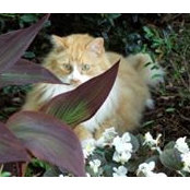 Carole Keller's photo