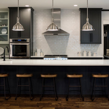 High Contrast Sustainable Home