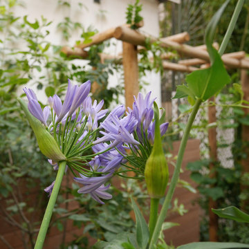 Le jardin secret d'un hôtel particulier