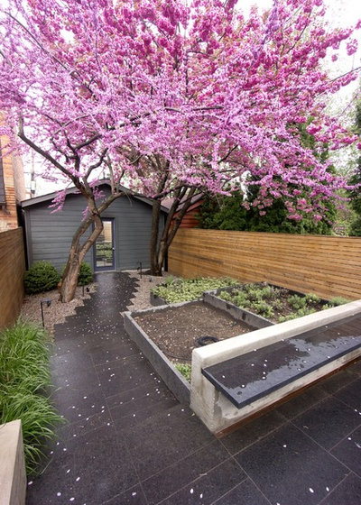 Contemporary Garden by Fredrick Dawson Design Consulting