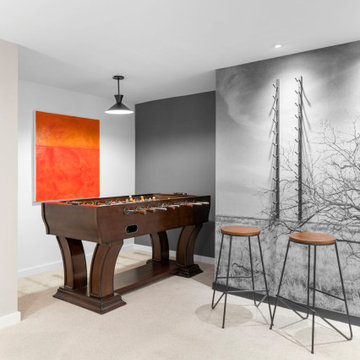The Lake House - Centennial full home renovation