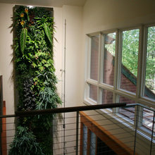 vertical garden