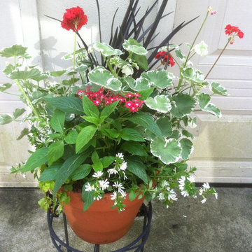 Container Gardens