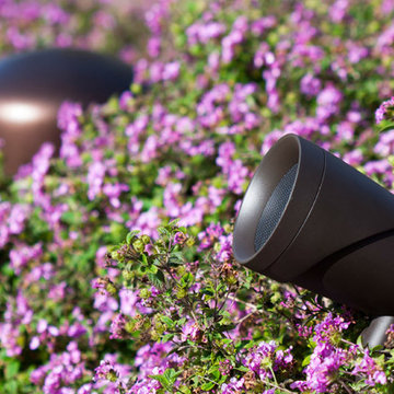 Outdoor Speakers