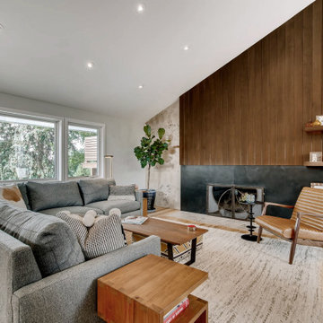 Family Room Focus