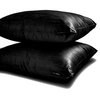 Black Art Silk Plain & Solid Set of 2, 16"x16" Throw Pillow Cover - Black Luxury