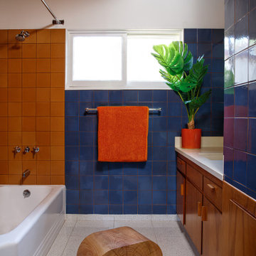 Mid-century Modern Ranch