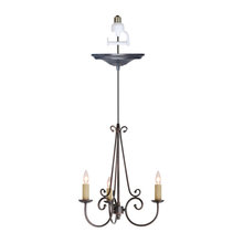 Pendant Lights