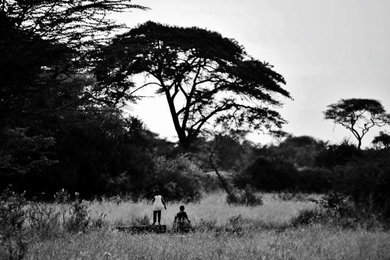 Brothers, Tanzania