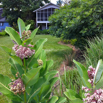 Lake near Fredericksburg, VA:  Plant&Sustain for Clean Water