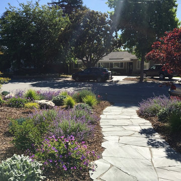 Los Altos No Lawn, Low Water