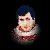 Foto von شروق صلاح