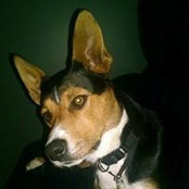 Jon Tallman's photo