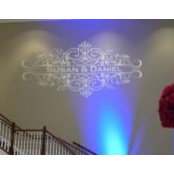 Susan Baldacci's photo