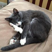 Vicki Carberry's photo
