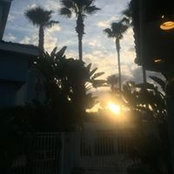 Chris Turner's photo