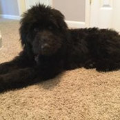 Jan Tarkington's photo