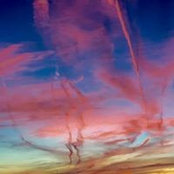 Hector Gutierrez's photo