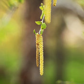 Bernadette's photo