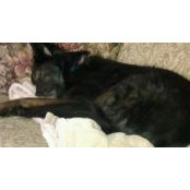 Trish Kuchta's photo