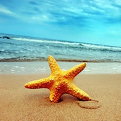 Joann L's photo