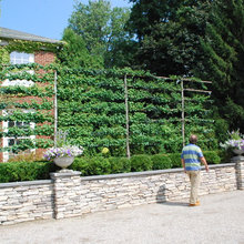 Garden, Narrow or Privacy