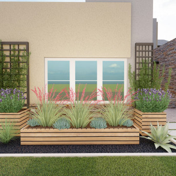 Front Yard + Backyard Design (Arizona)