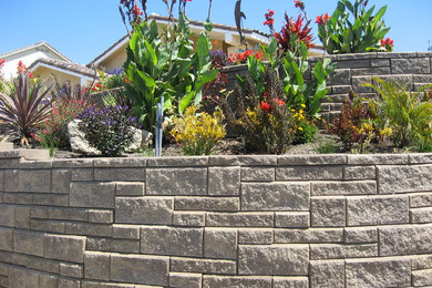 Large backyard full sun garden in Orange County with a retaining wall and concrete pavers.