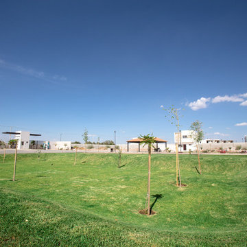 CERRADA GAVILAN PALMA REAL VIÑEDOS