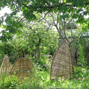 Les dents de la terre