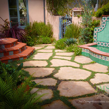 Outdoor landscape