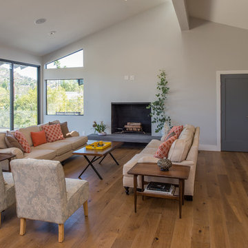 Contemporary whole house remodel