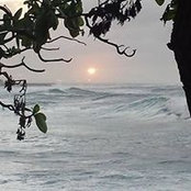 Andrew Lee's photo