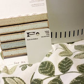 Jessica Markwell's photo