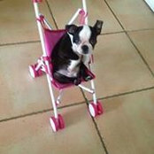 Foto de Giraliz de Briceño