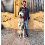Mohamed Ezzats foto