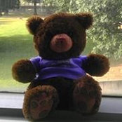 Celia Paulsen's photo