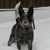 Mike Finlayson's photo
